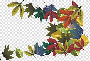 Autumn Leaf Deciduous, Colorful autumn leaves transparent background PNG clipart