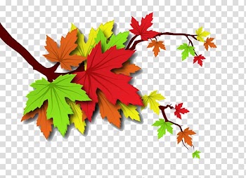 Autumn Leaf Illustration, Autumn leaves transparent background PNG clipart