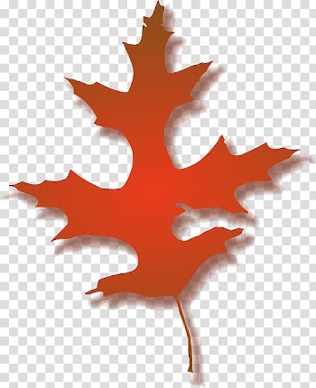 Autumn Leaf , multicolored maple leaf transparent background PNG clipart