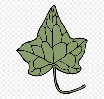 Autumn Leaf Outline 21, - Ivy Leaf Clip Art
