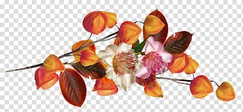 Autumn Leaf Petal, autumn transparent background PNG clipart