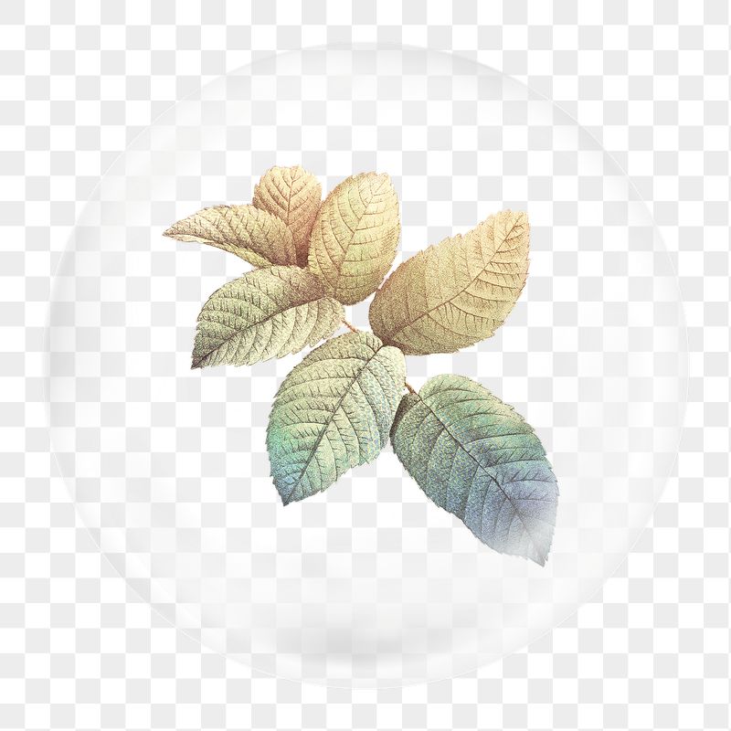 Autumn leaf png branch sticker, | Free PNG - rawpixel