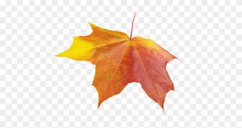 Autumn Leaf - Transparent Autumn Leaf