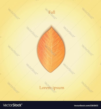 Autumn leaf vector image