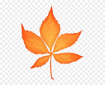 Autumn Leaf With Dew Drops Transparent Png Clip Art - 2 Transparent Leaf
