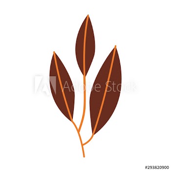 autumn leafs plant seasonal icon