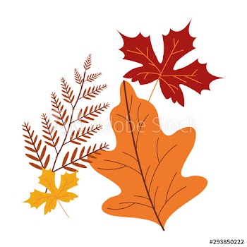 autumn leafs plant seasonal icon