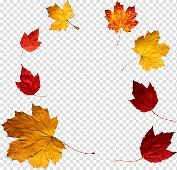Autumn leaves, assorted-color Maple leaf illustration transparent background PNG clipart
