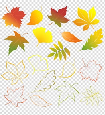 Autumn Leaves Autumn leaf color, autumn leaves transparent background PNG clipart