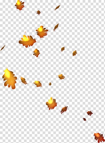 Autumn Leaves , autumn transparent background PNG clipart