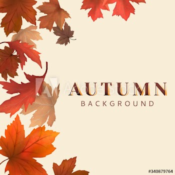 Autumn leaves background
