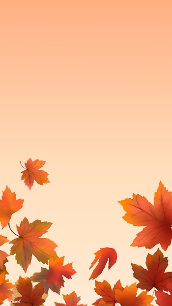 Autumn leaves background | Free stock illustration - 599687