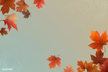 Autumn leaves background | Free stock illustration - 599692