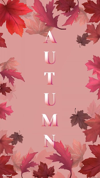 Autumn leaves background | Free stock illustration - 599708