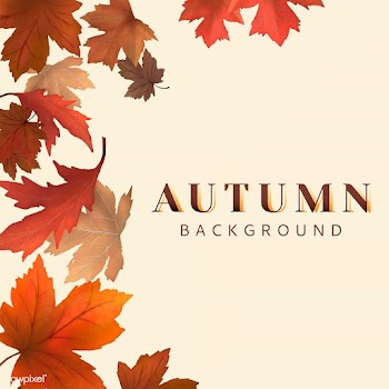 Autumn leaves background | Free stock illustration - 599710