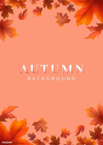 Autumn leaves background | Free stock vector - 599611
