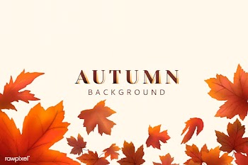 Autumn leaves background | Free stock vector - 599636