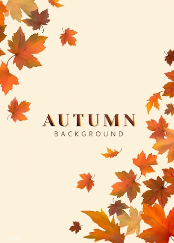 Autumn leaves background | Free stock vector - 599657
