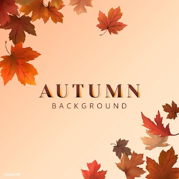 Autumn leaves background | Free stock vector - 599661