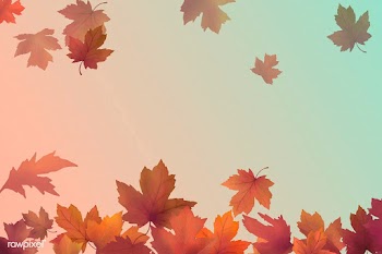 Autumn leaves background | Free stock vector - 599694
