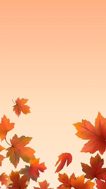 Autumn leaves background | Free stock vector - 599700