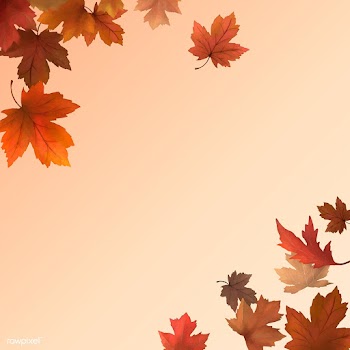 Autumn leaves background | Free stock vector - 599709
