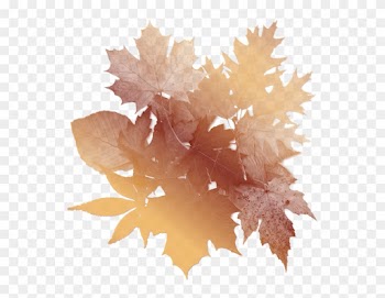 Autumn Leaves Background - Vintage Autumn Leaf Png