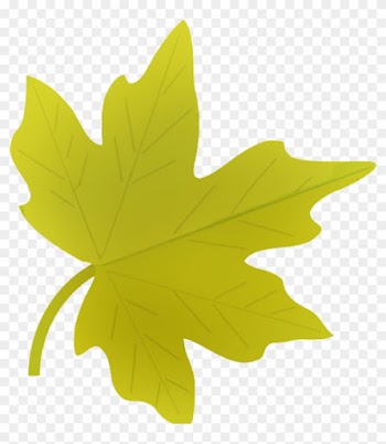 Autumn Leaves Clipart Fall Leaves Clip Art Beautiful - Green Autumn Leaves Png
