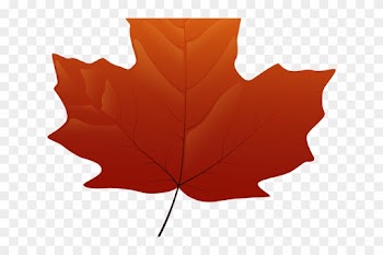 Autumn Leaves Clipart Falll - Maple Leaf Png Yellow
