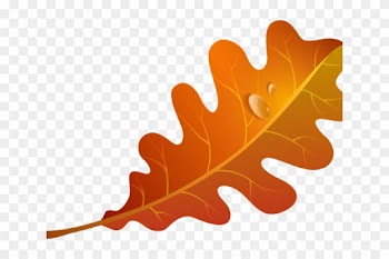 Autumn Leaves Clipart Orange Leaf - Orange Leaf Clipart