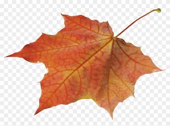 Autumn Leaves Clipart Pile Fall Leaves - Autumn Leaf Png