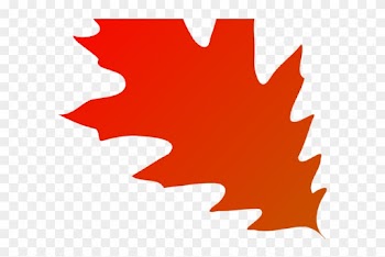 Autumn Leaves Clipart Transparent Background 22 500 - Red Oak Leaf Clipart