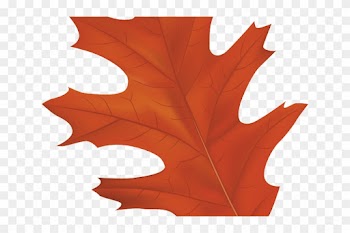 Autumn Leaves Clipart Tree - Red Oak Tree Leaf Clipart