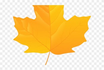 Autumn Leaves Clipart Yellow - Maple Leaf Png Yellow