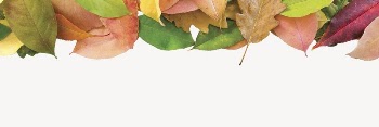 Autumn leaves collage element psd | Free PSD - rawpixel