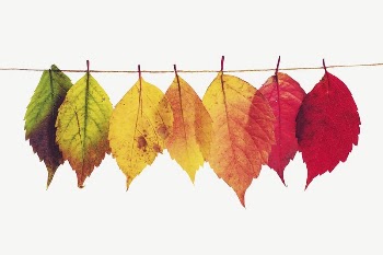Autumn leaves collage element psd | Free PSD - rawpixel