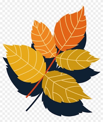 Autumn Leaves Collection Vector Material - Autumn Leaves Collection Vector Material