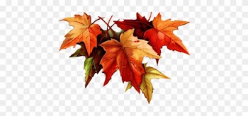 Autumn Leaves Drawing Tumblr - 21 Days Of Fasting &amp; Prayer: Words