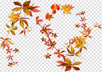 Autumn Leaves Flower , autumn leaves transparent background PNG clipart