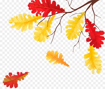 Autumn Leaves Golden Autumn Leaf Child - Withered autumn leaves 