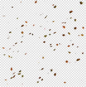 Autumn Leaves HD PNG Transparent Autumn Leaves HD.PNG Images ...