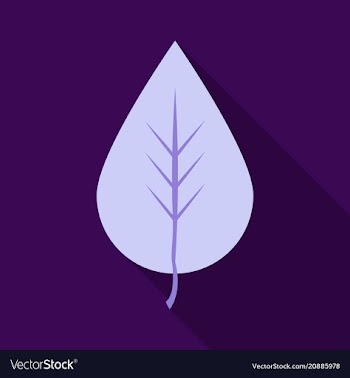 Autumn leaves isolated on colour background vector image