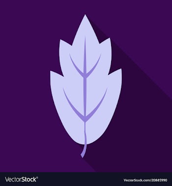Autumn leaves isolated on colour background vector image