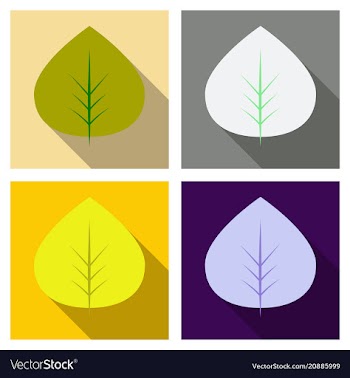 Autumn leaves isolated on colour background vector image