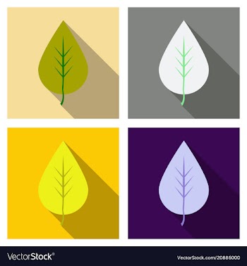 Autumn leaves isolated on colour background vector image