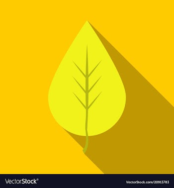Autumn leaves isolated on colour background vector image