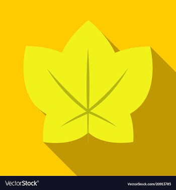 Autumn leaves isolated on colour background vector image