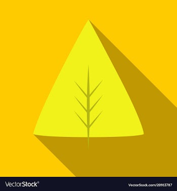 Autumn leaves isolated on colour background vector image