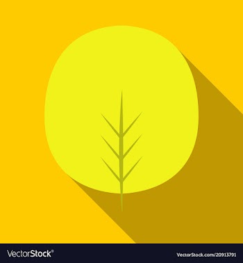 Autumn leaves isolated on colour background vector image