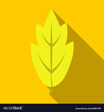 Autumn leaves isolated on colour background vector image